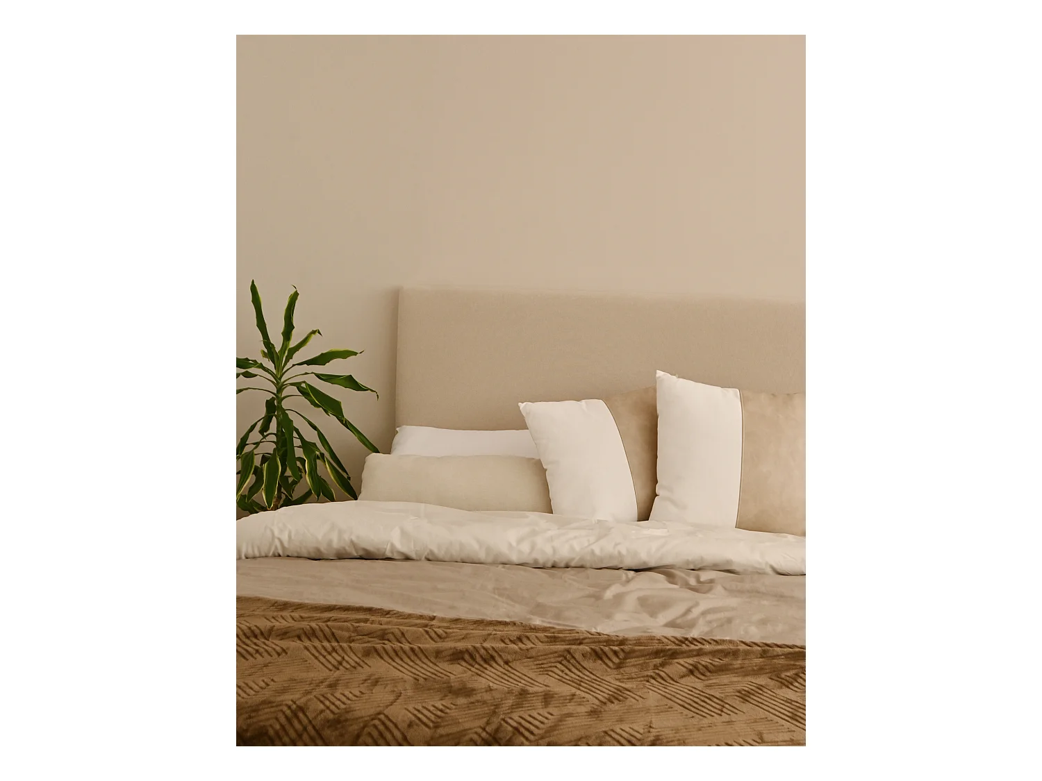 Tête de lit en coton beige 150x80cm - OLIVIA - DECOWOOD