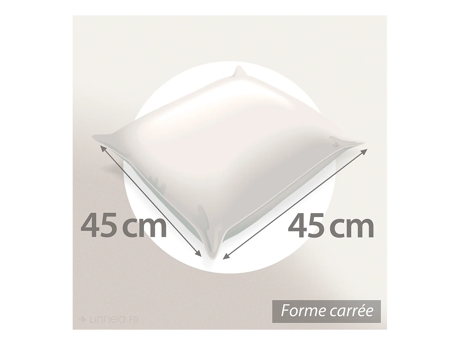 Coussin à recouvrir 45x45 cm garnissage 100% Plumettes de canards coussin Plumes