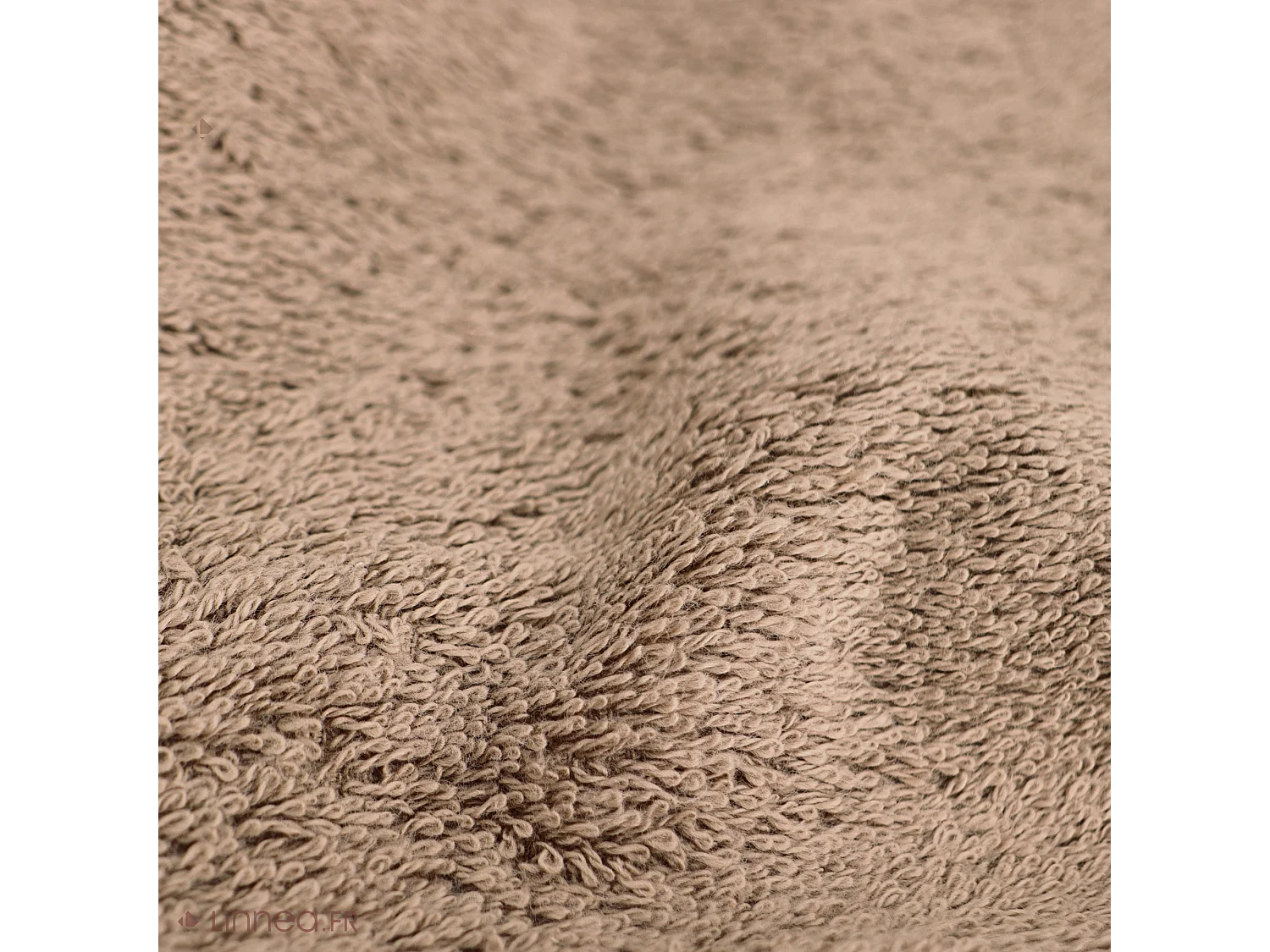 Serviette de toilette 50x100 cm coton peigné ALBA taupe