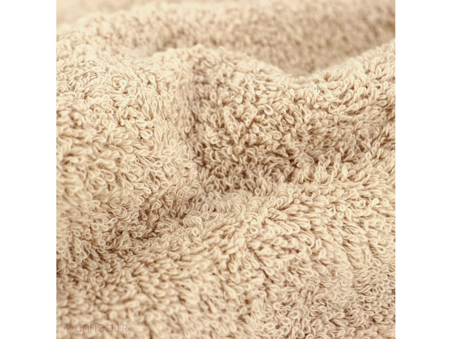 Serviette de toilette 50x100 cm coton peigné ALBA beige
