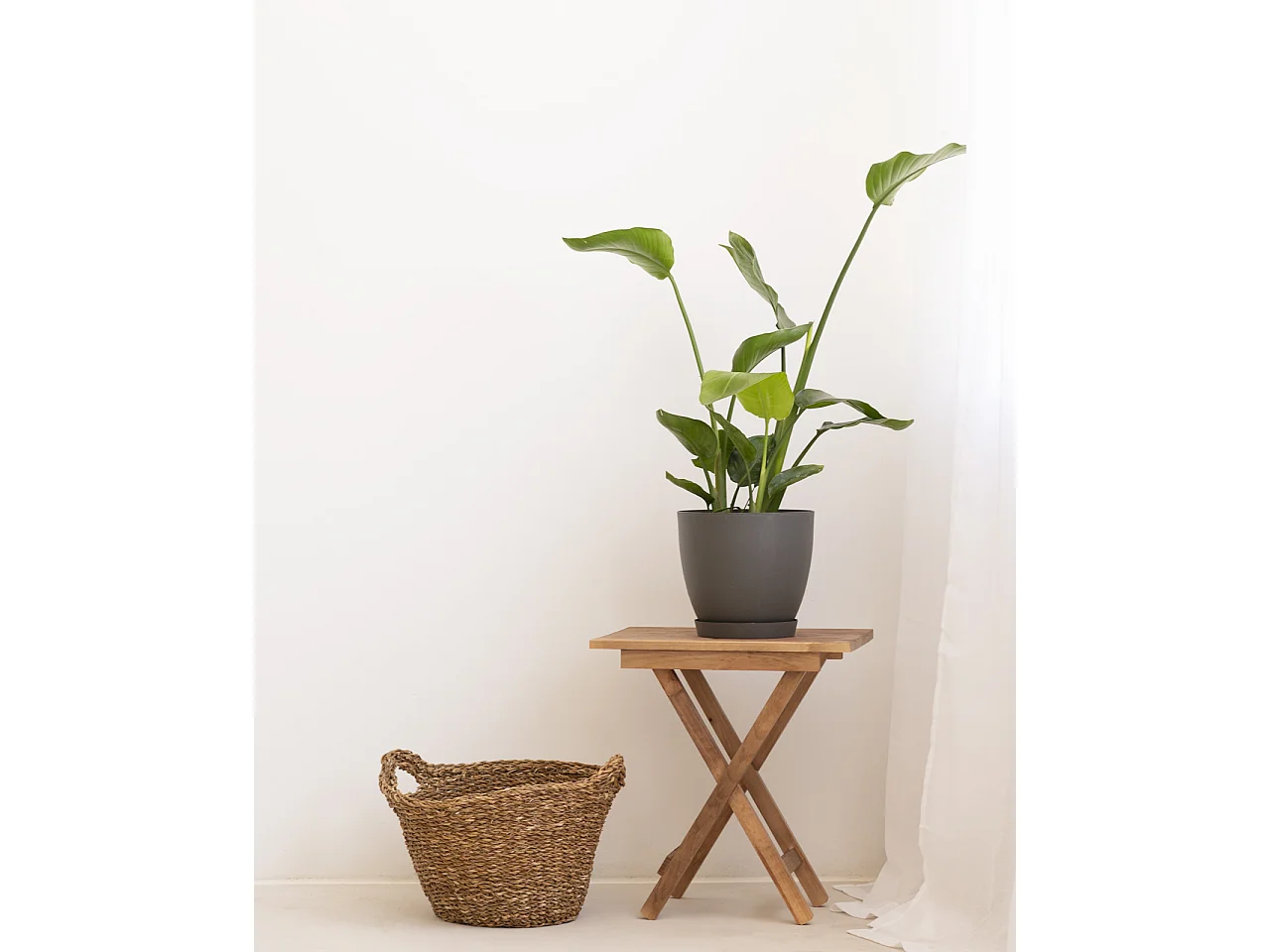 Table basse pliante en bois de pin vieilli 48,5x53cm