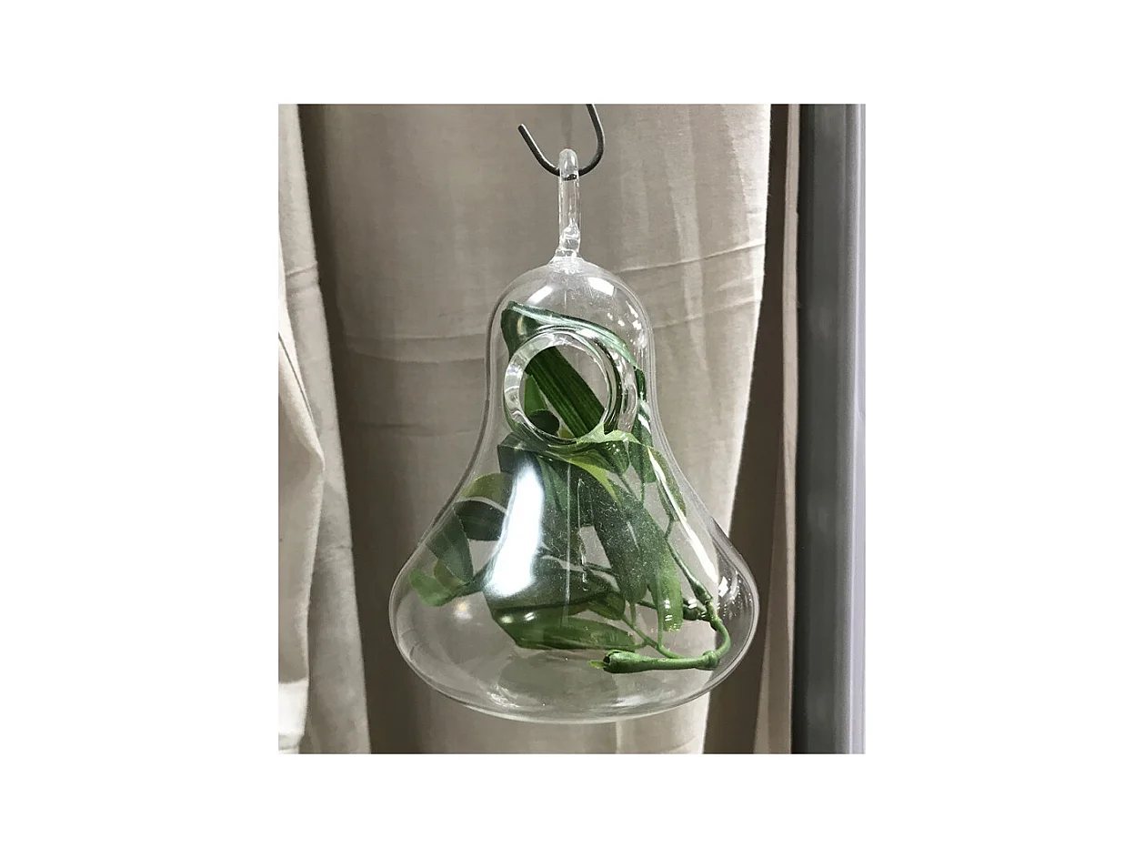 Vase à suspendre petit en verre transparent - GLASSBOX