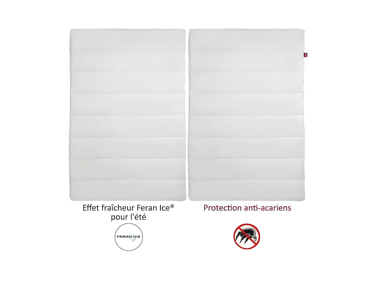 Bettdecke 4 Jahreszeiten ANTI-MILBEN 220x240cm Abeil Feran Ice + Acaristop