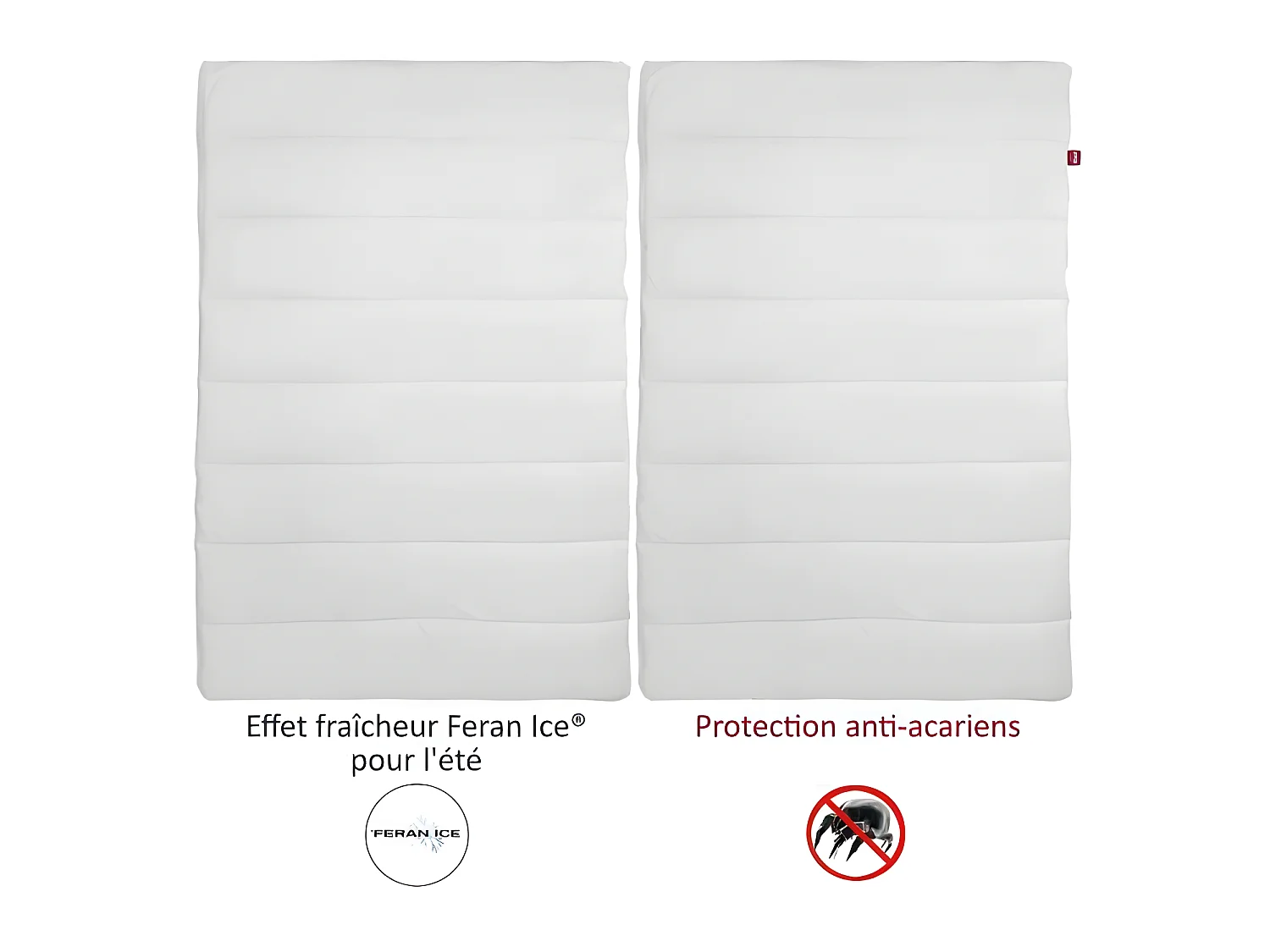 Bettdecke 4 Jahreszeiten ANTI-MILBEN 220x240cm Abeil Feran Ice + Acaristop