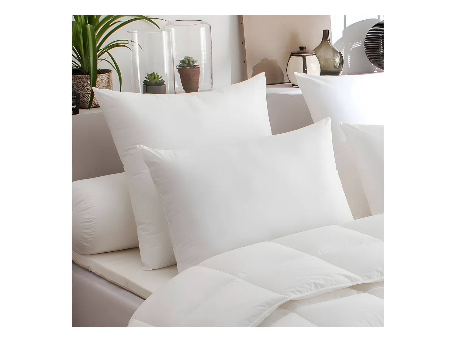 Lot de 2 oreillers microstar Médium Anti-Acariens "DODO"