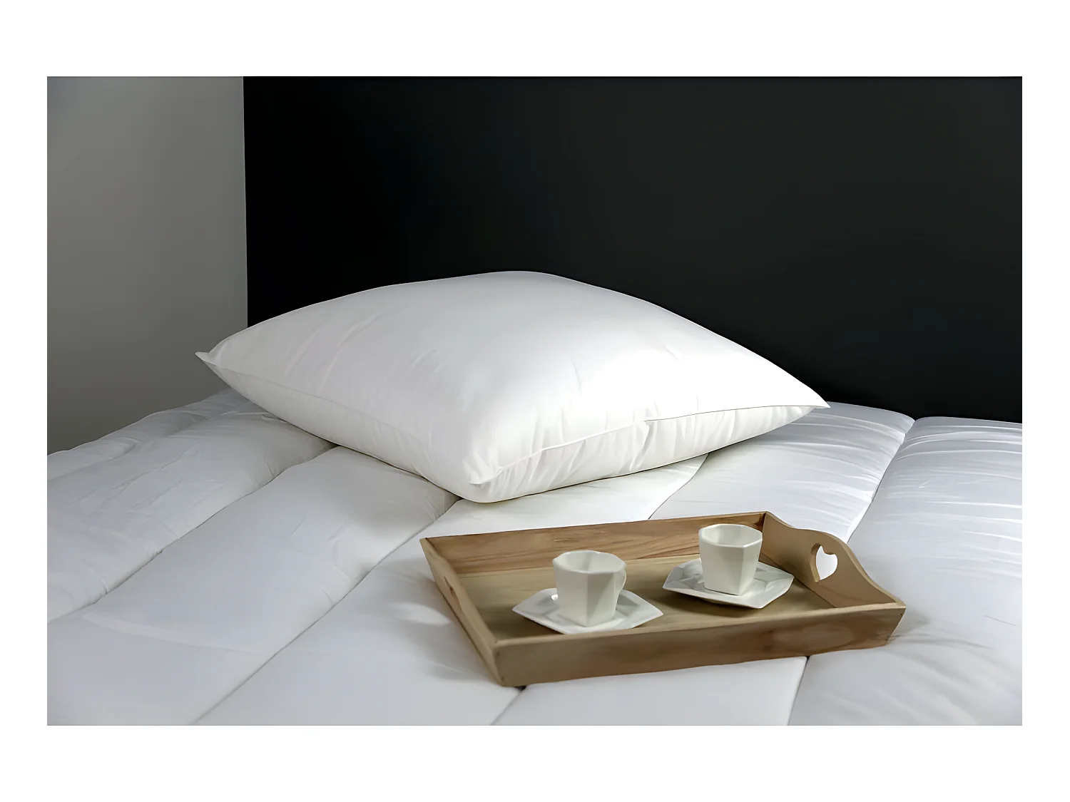 Lot de 2 oreillers microstar Médium Anti-Acariens "DODO"