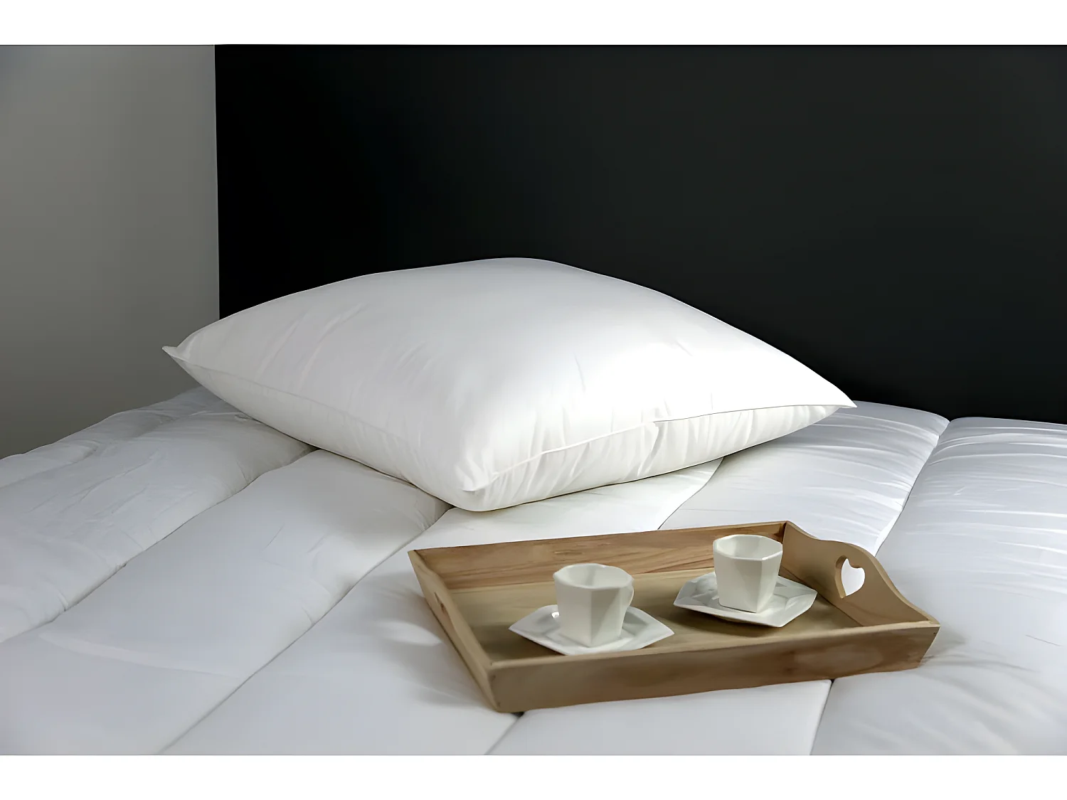 Lot de 2 oreillers microstar Médium Anti-Acariens "DODO"