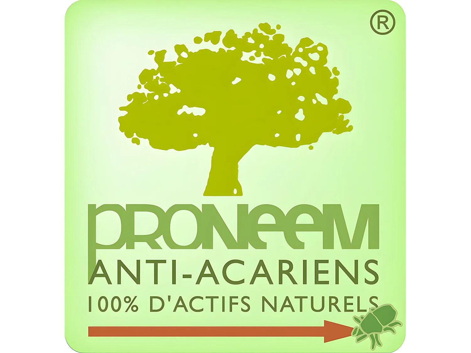 Oreiller moelleux antiacariens Proneem® Fibre VOLUPT'AIR® Dodo
