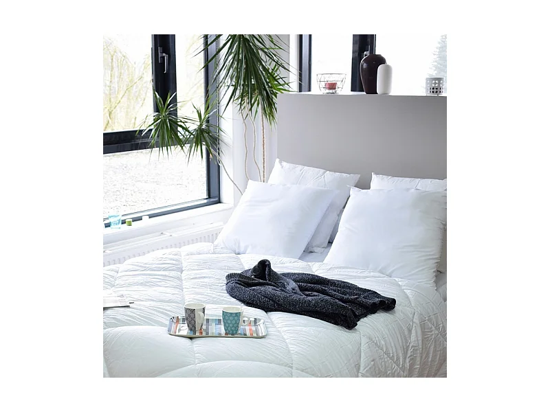 Lot de 2 oreillers Anti transpirant Topcool 60 x 60 cm "Bleu Calin"