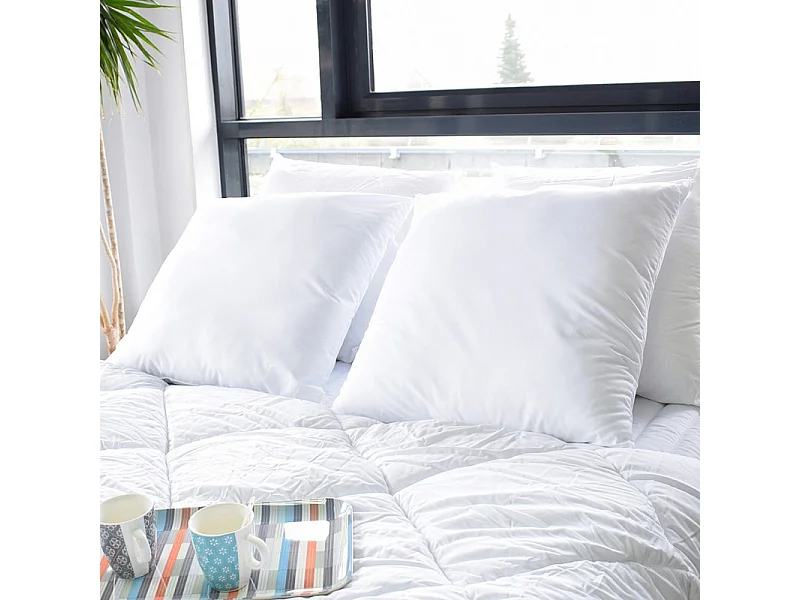 Lot de 2 oreillers Anti transpirant Topcool 60 x 60 cm "Bleu Calin"