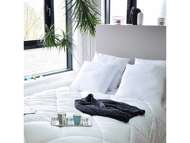 Lot de 2 oreillers Anti transpirant Topcool 60 x 60 cm "Bleu Calin"