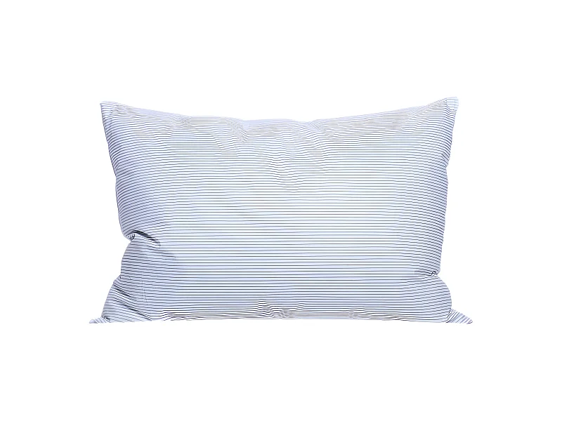 Lot de 2 oreillers plumes 50 x 70 cm "DODO"