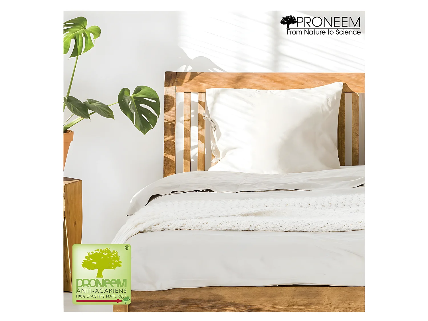 Lot de 2 oreillers moelleux antiacariens Proneem® Fibre VOLUPT'AIR® Dodo