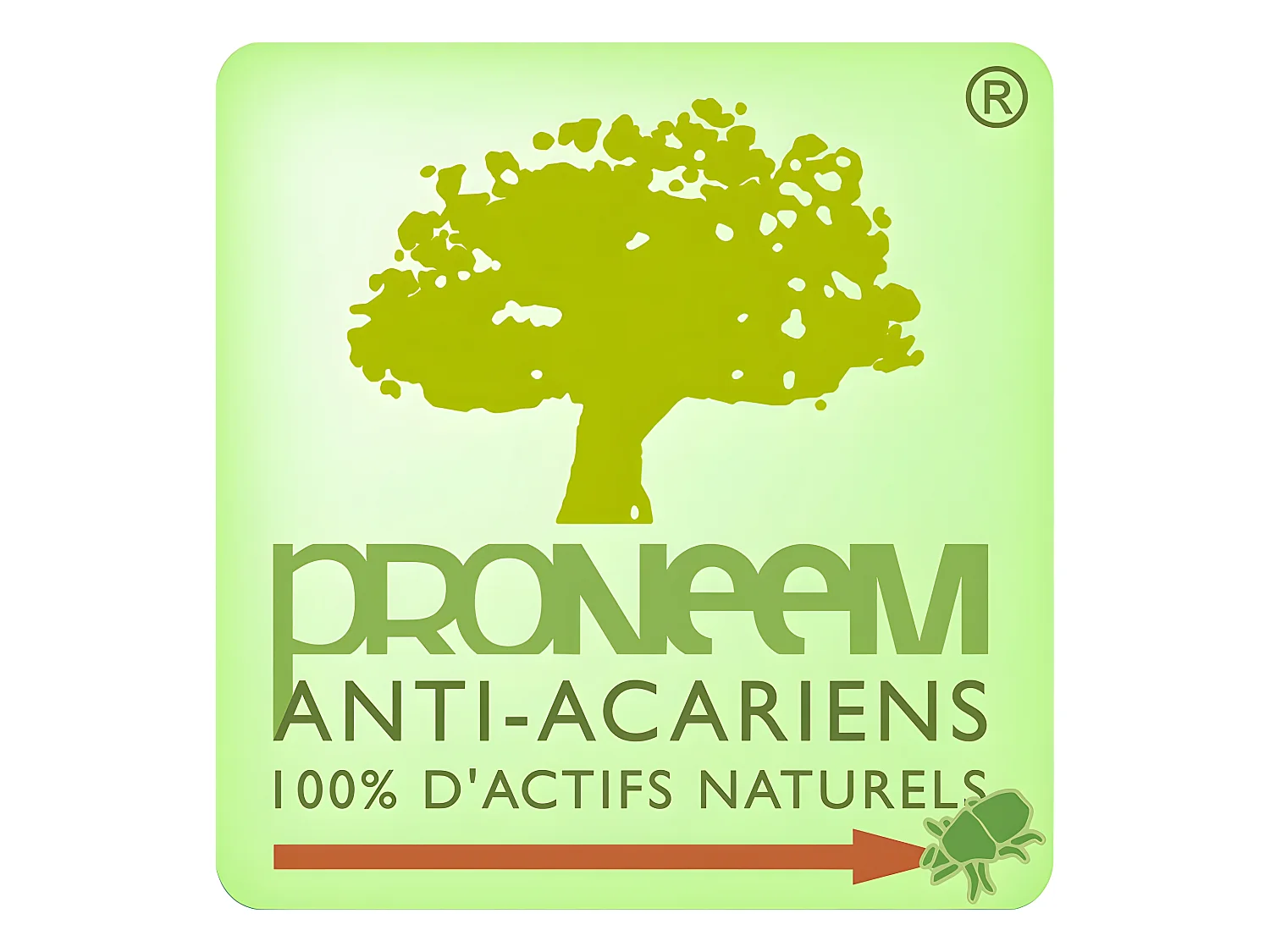 Oreiller moelleux antiacariens Proneem® Fibre VOLUPT'AIR® Dodo