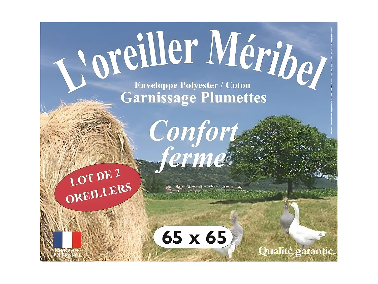 Lot de 2 oreillers plumes 65 x 65 cm "DODO"