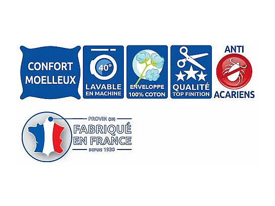 Lot de 2 Oreillers 60 x 60 cm "Protection totale Anti-Acariens" Bleu Calin