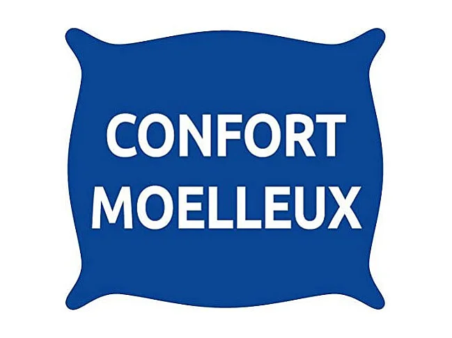 Lot de 2 Oreillers 60 x 60 cm "Protection totale Anti-Acariens" Bleu Calin