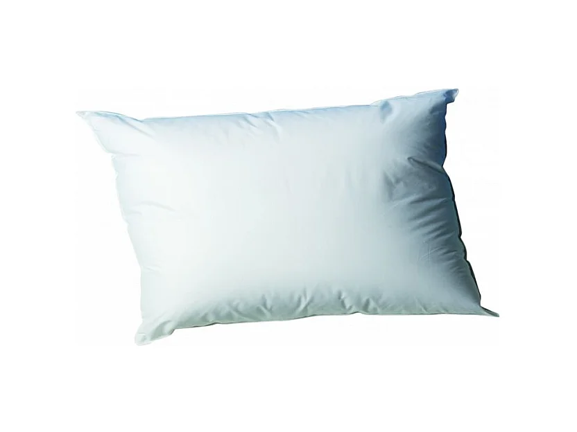 Lot de 2 oreillers 45 x 70 cm Blanrêve Gamme "Douceur" traité Anti Acarien