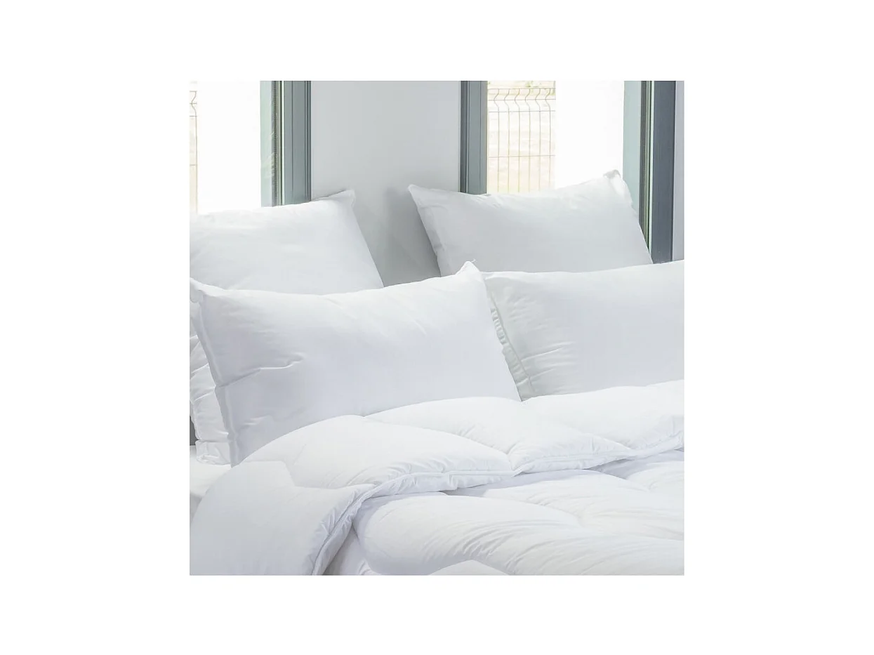 Lot de 2 oreillers 45 x 70 cm Blanrêve Gamme "Douceur" traité Anti Acarien