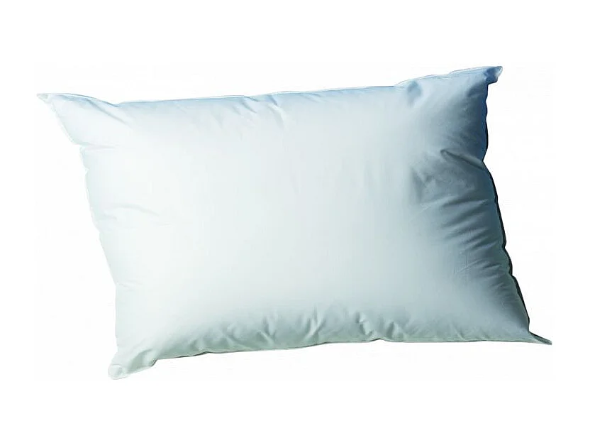 Lot de 2 oreillers 45 x 70 cm Blanrêve Gamme "Douceur" traité Anti Acarien