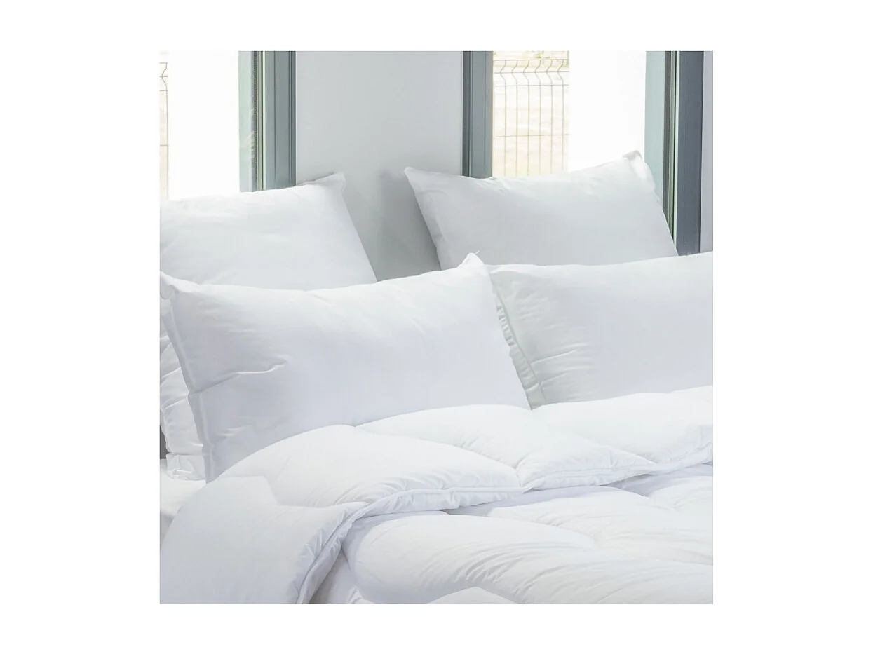 Lot de 2 oreillers 45 x 70 cm Blanrêve Gamme "Douceur" traité Anti Acarien