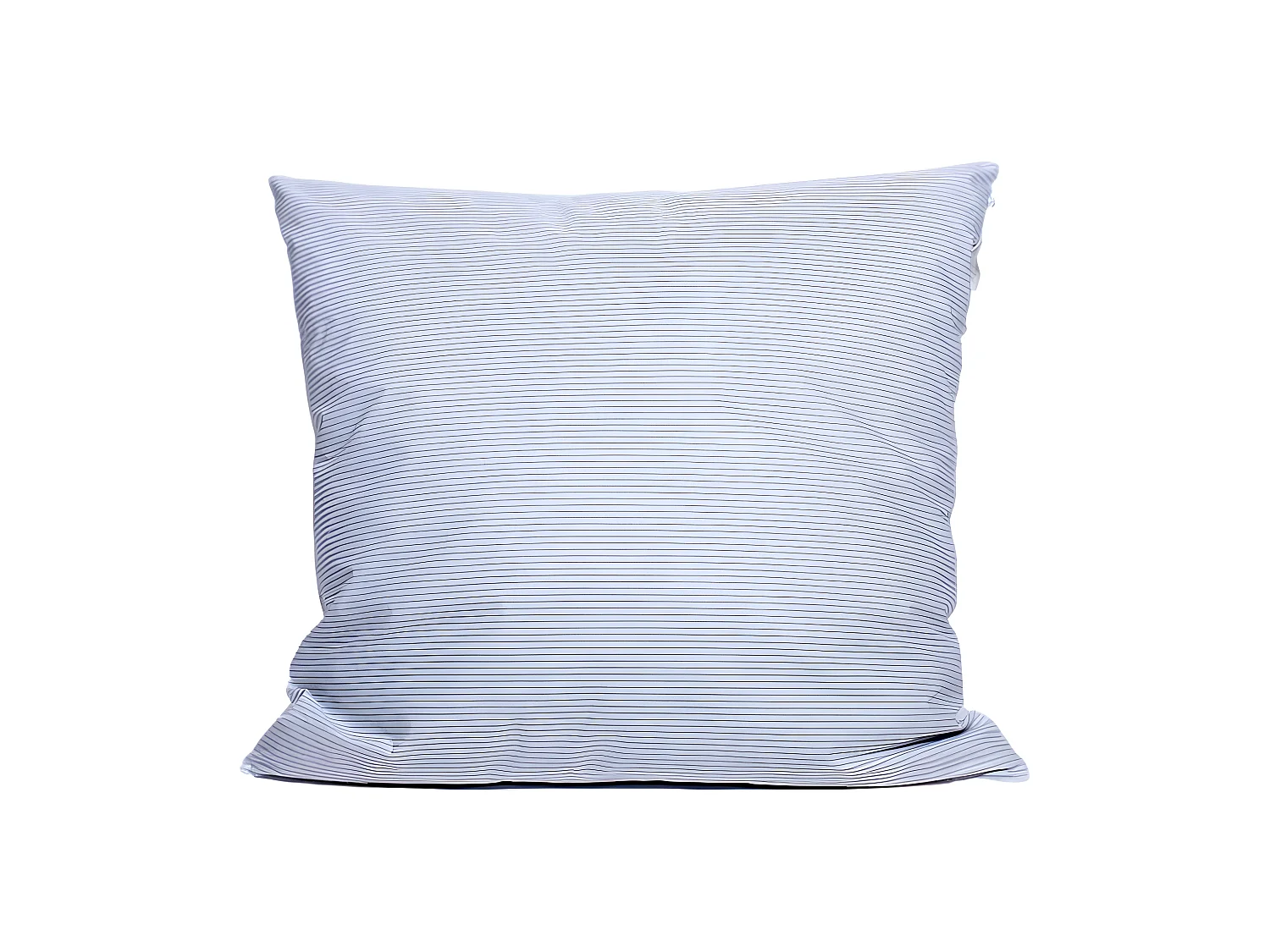 Oreiller plumes 60 x 60 cm "DODO"