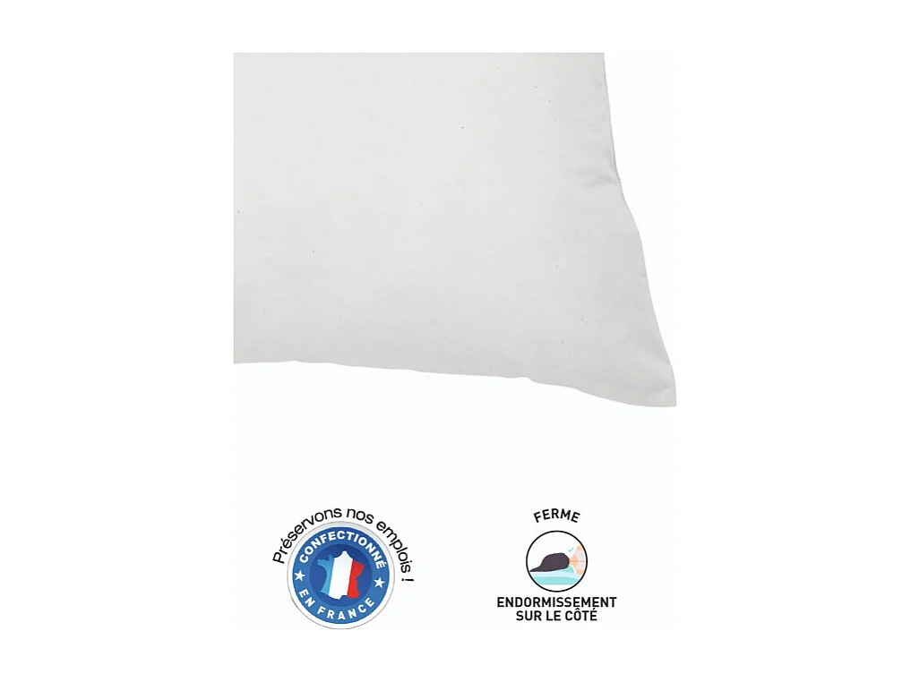 Lot de 2 oreillers 60 x 60 cm Blanrêve Gamme "Douceur" traité Anti Acarien