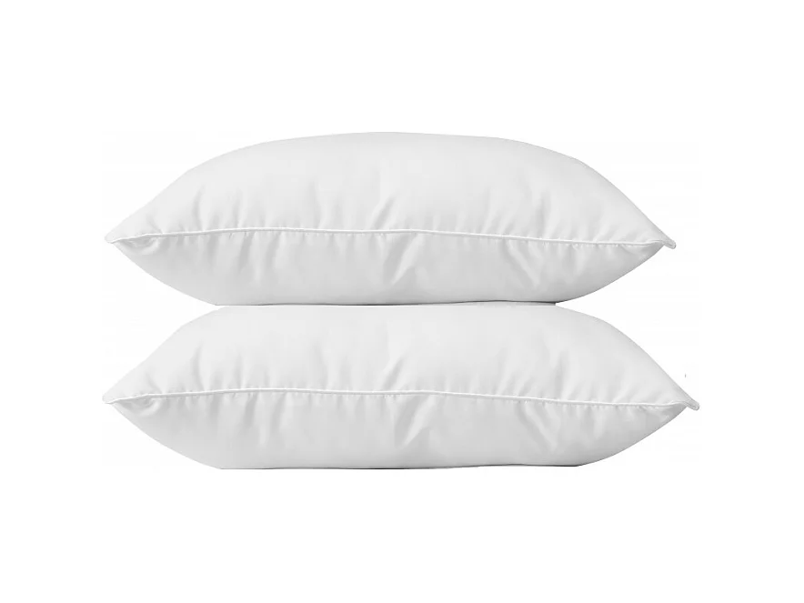Lot de 2 oreillers 60 x 60 cm Blanrêve Gamme "Douceur" traité Anti Acarien