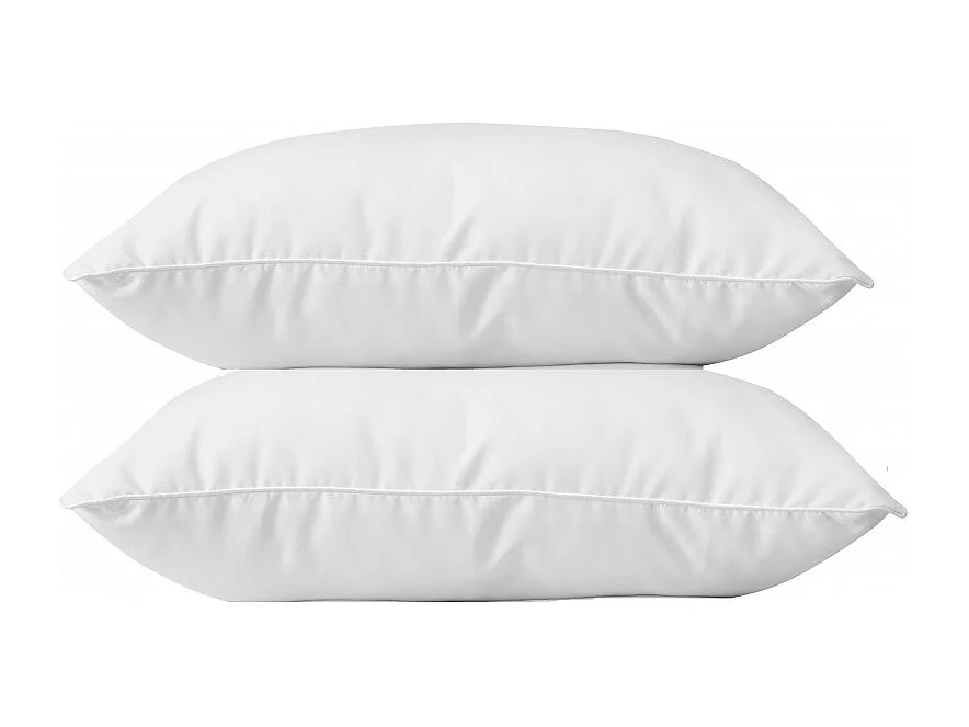 Lot de 2 oreillers 60 x 60 cm Blanrêve Gamme "Douceur" traité Anti Acarien