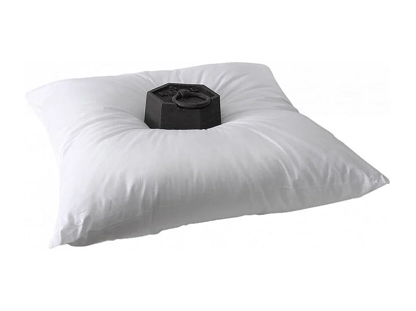 Lot de 2 Oreillers 60 x 60 cm "Super Gonflant Isolane" Bleu Calin