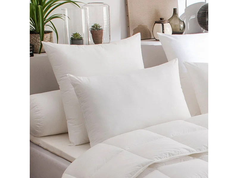 Lot de 2 oreillers Maxiconfort Thermolite ultra "DODO"