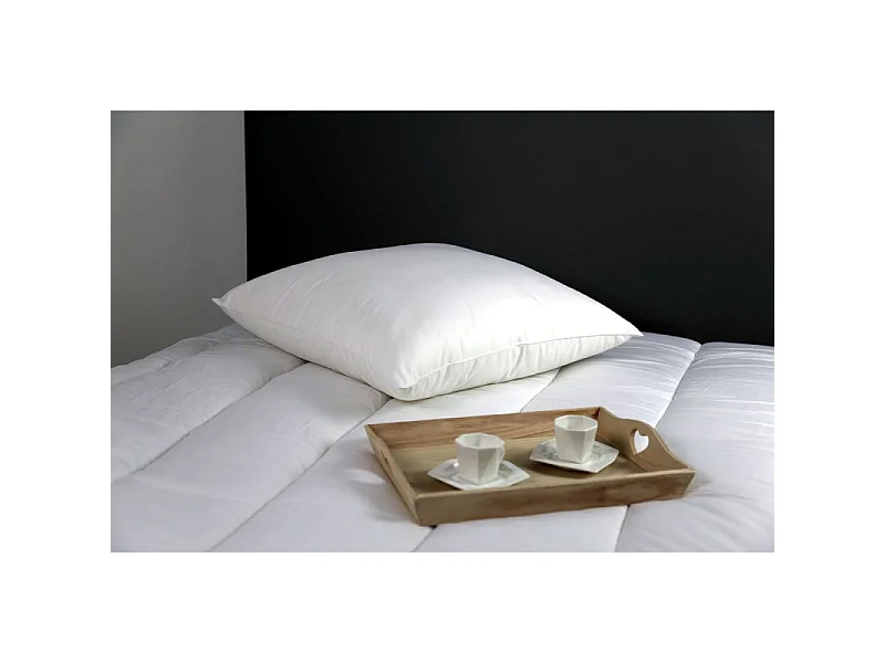 Lot de 2 oreillers microstar Médium Anti-Acariens "DODO"