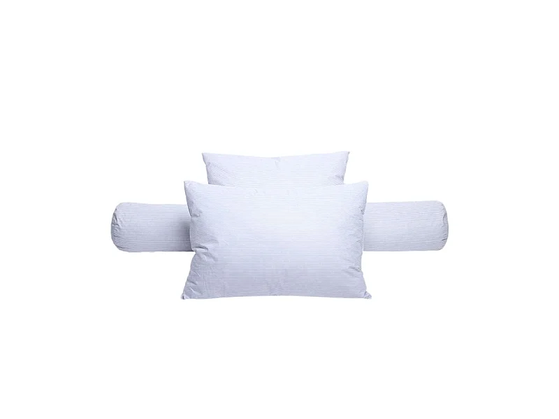 Lot de 2 oreillers plumes 60 x 60 cm "DODO"