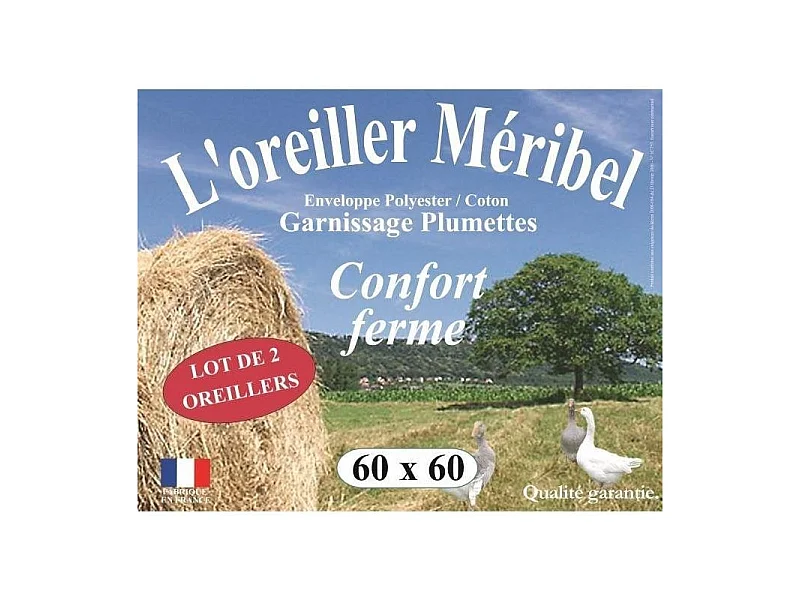 Lot de 2 oreillers plumes 60 x 60 cm "DODO"