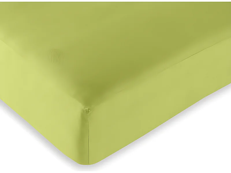Drap housse Anis 90 x 190 cm / 100% coton / 57 fils/cm²