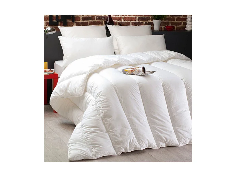 Couette Hygiène entretien facile 100% Polyester Fibre THERMOLITE® 90° Dodo