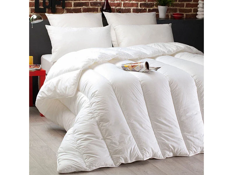 Pack Couette Dodo Microstar 220 x 240 cm pour lit 2 places + 2 Oreillers Microstar 60 x 60 cm + 2 Oreillers Microstar 50 x 70 cm