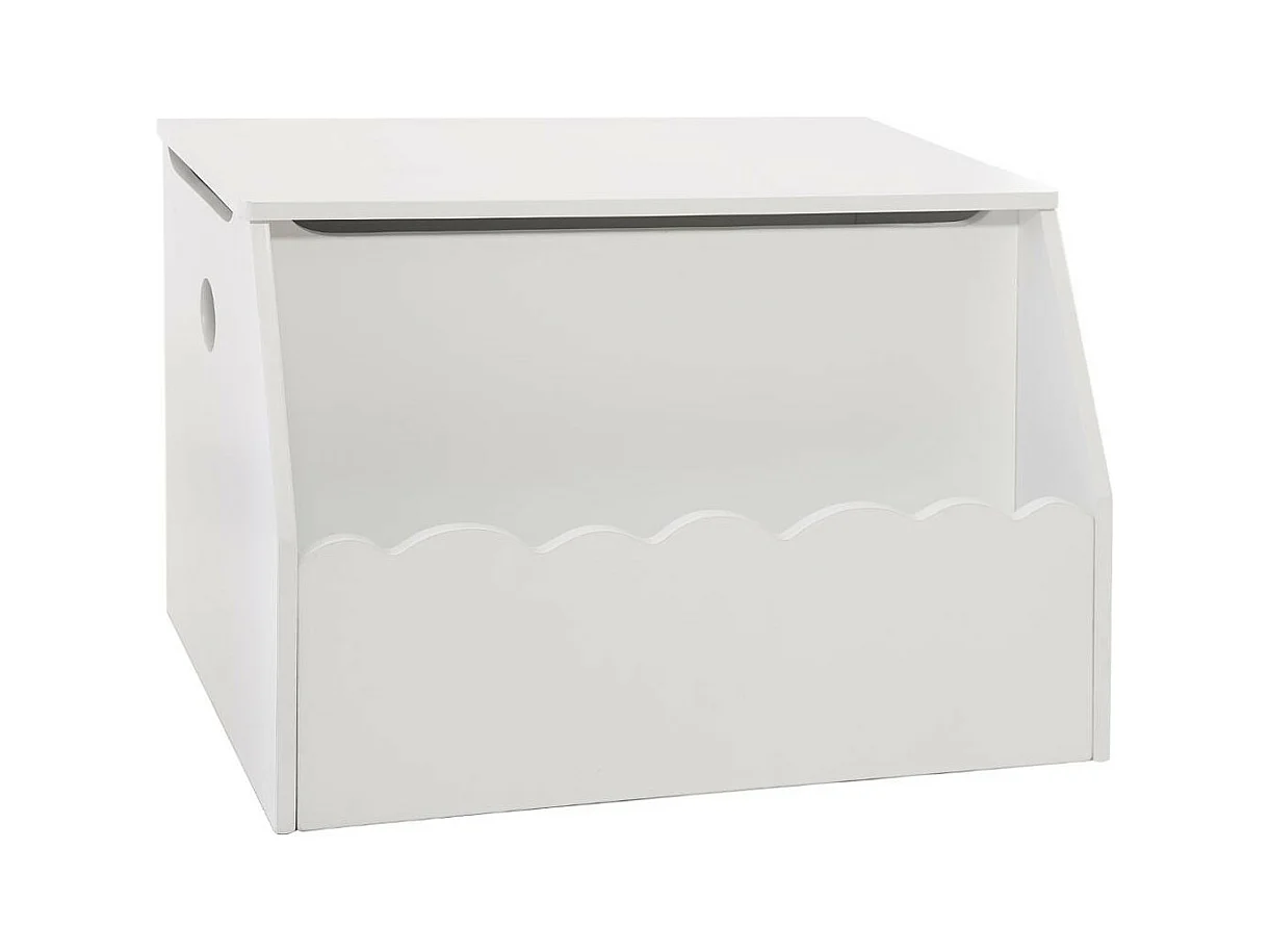 Coffre de rangement et Bibliothèque Enfant