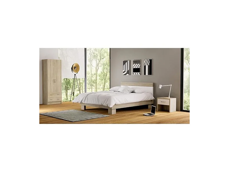 DUAL Armoire chambre adulte classique decor chene brosse - L 61 cm