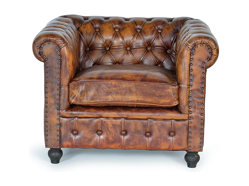 Bruine leren en metalen fauteuil