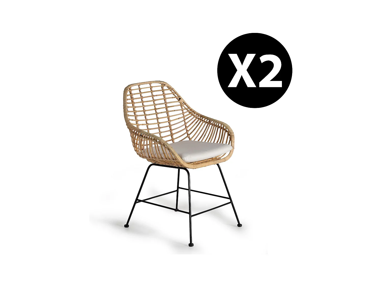 Lot de 2 chaises en rotin et métal