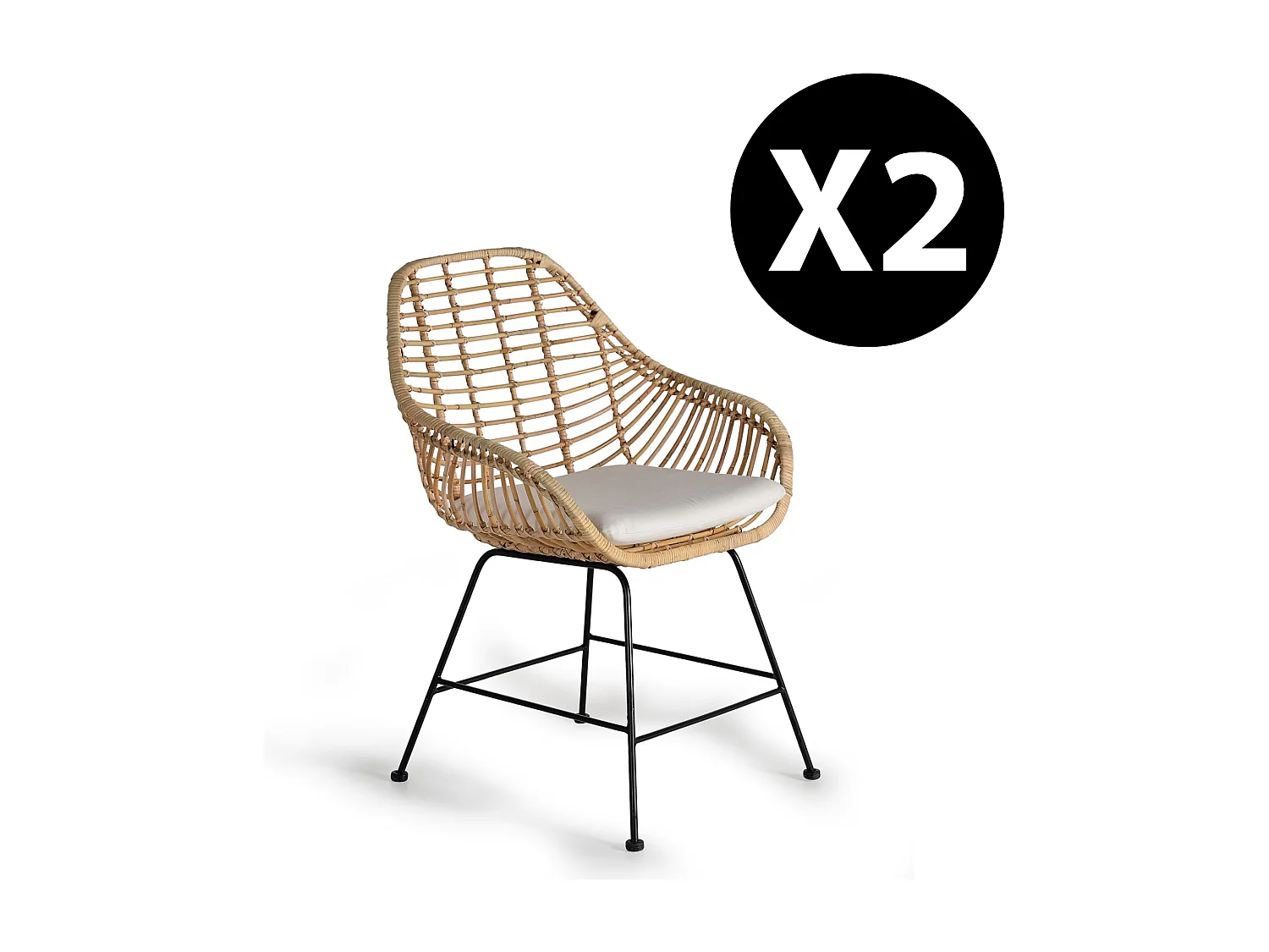 Lot de 2 chaises en rotin et métal