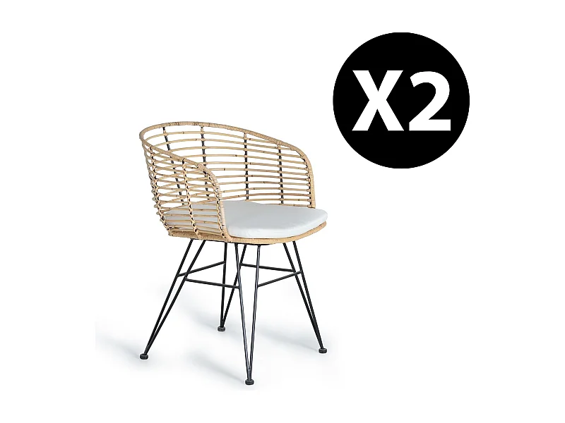 Set di 2 sedie in rattan e metallo 80x52x56