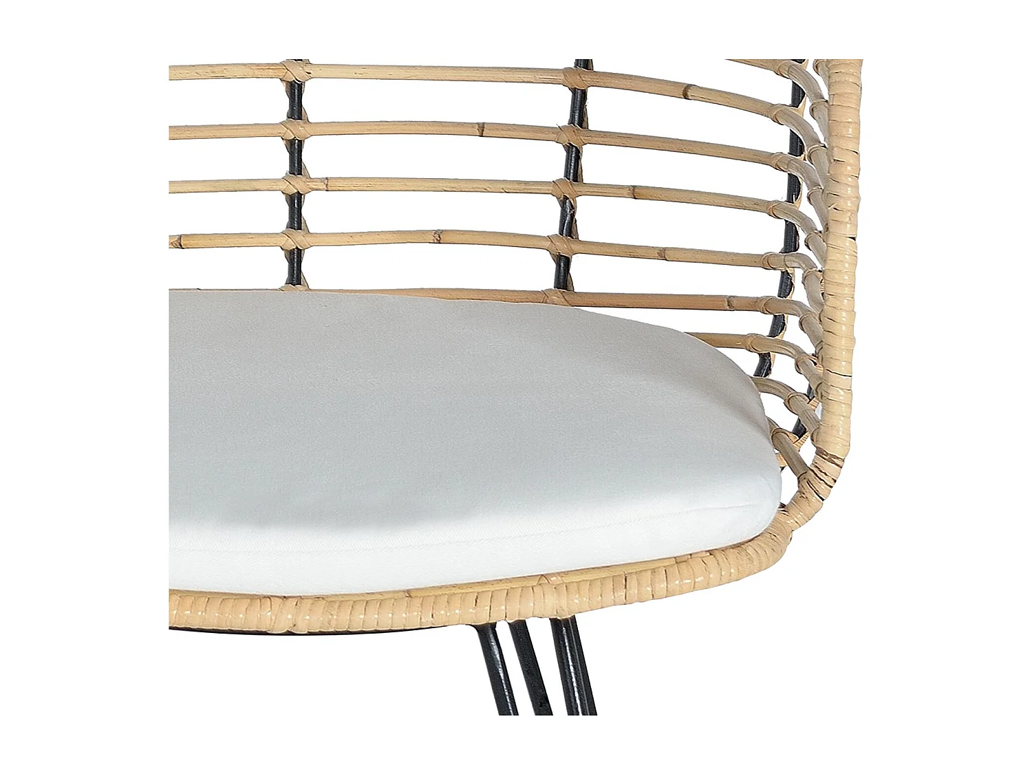 Lot de 2 chaises en rotin et métal