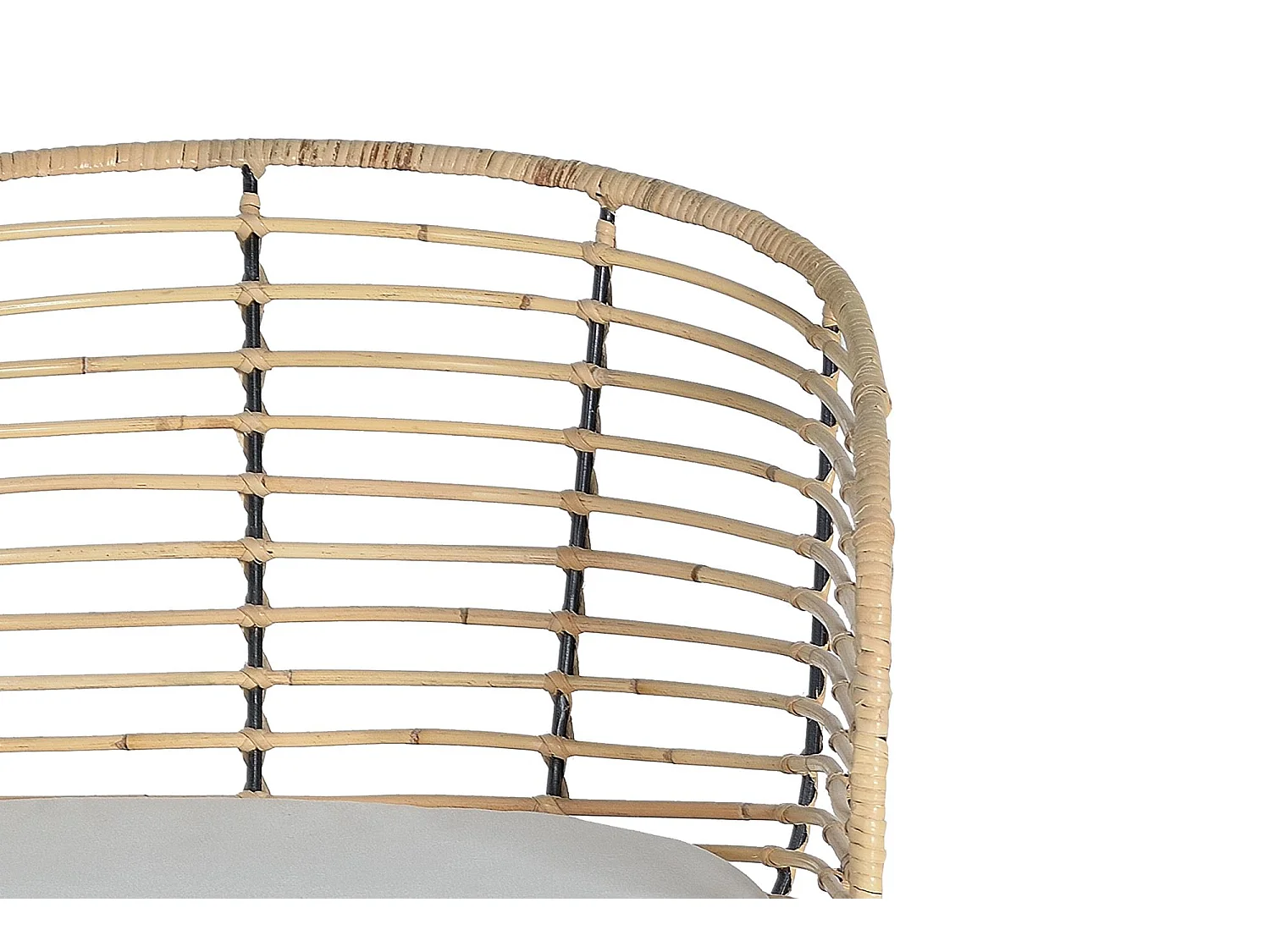 Kavel van 2 chaises in rotin en metaal