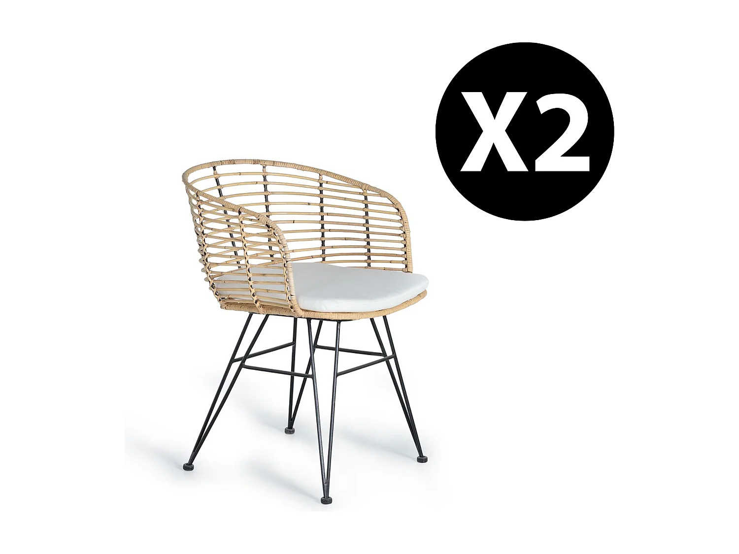 Lot de 2 chaises en rotin et métal
