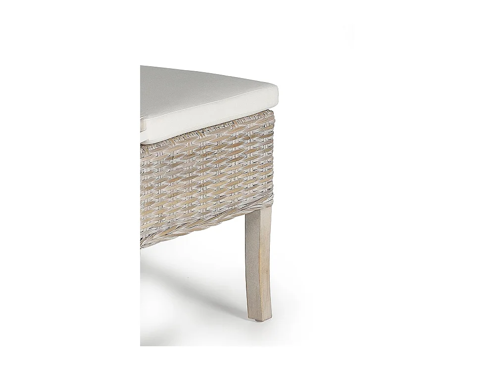 Lot de 2 chaises en rotin avec coussin inclus