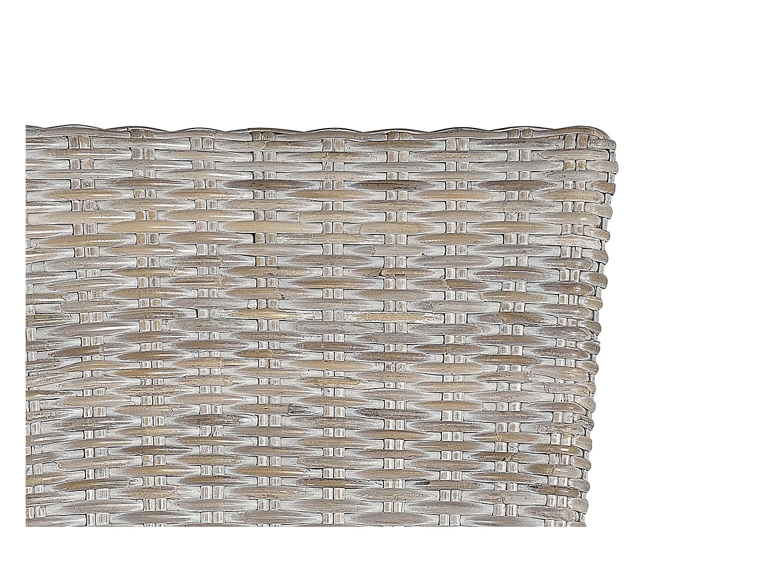 Lot de 2 chaises en rotin avec coussin inclus