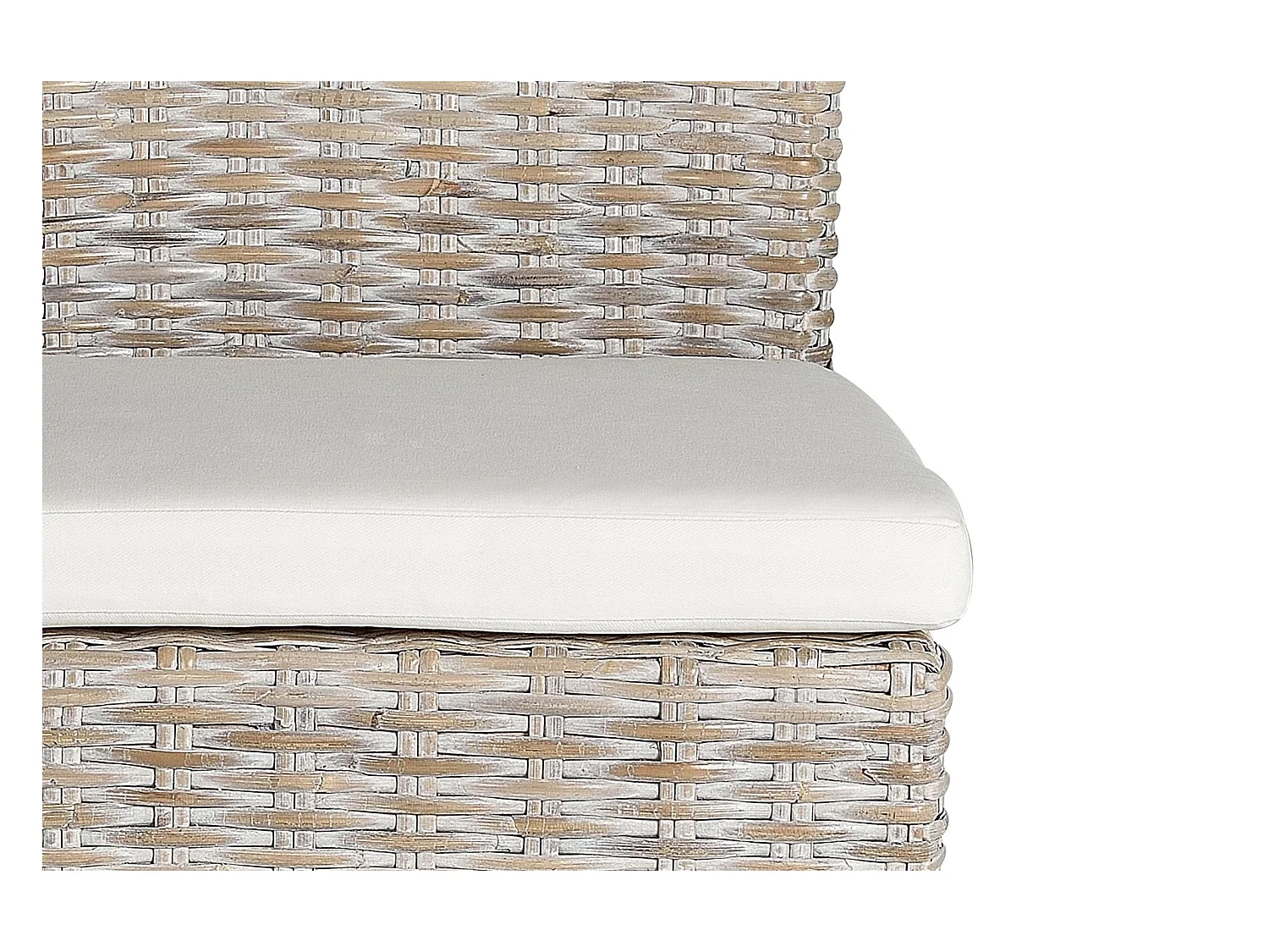 Lot de 2 chaises en rotin avec coussin inclus