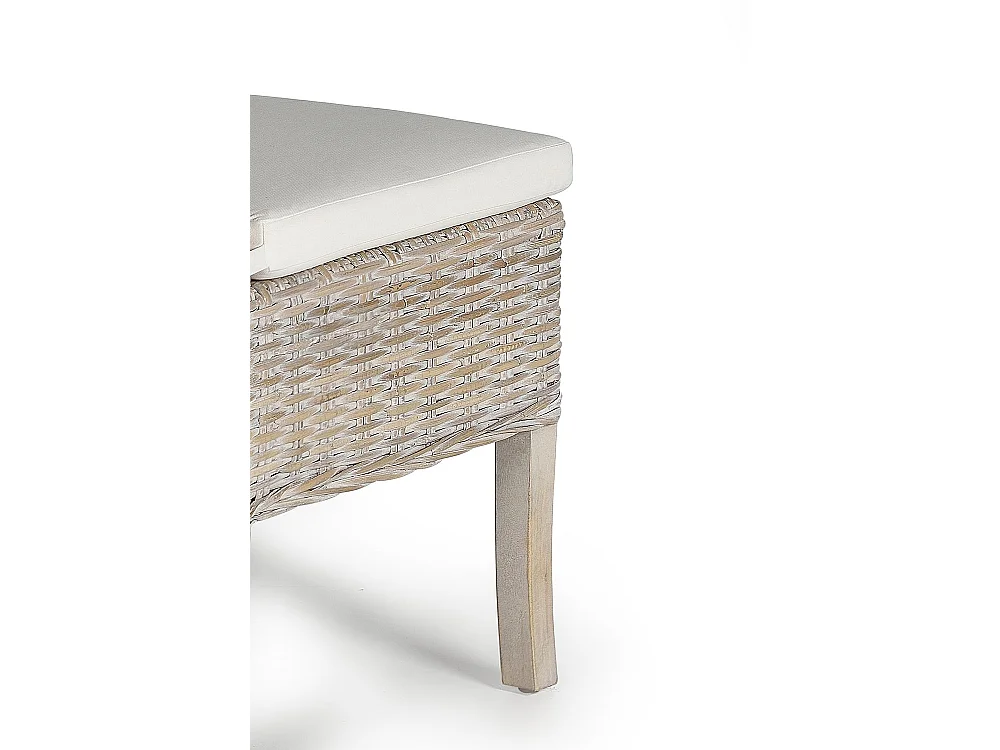 Lot de 2 chaises en rotin avec coussin inclus